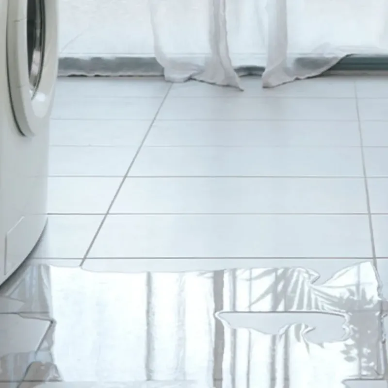 Appliance Leak Cleanup in Braxton County, WV
