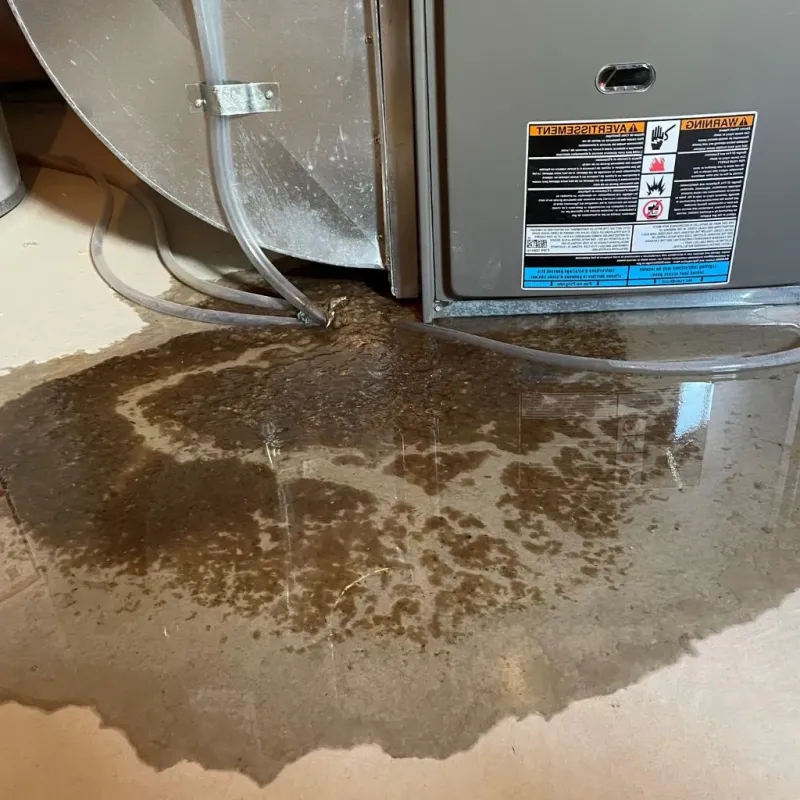 Pipe Burst and Leak Restoration in Braxton County, WV