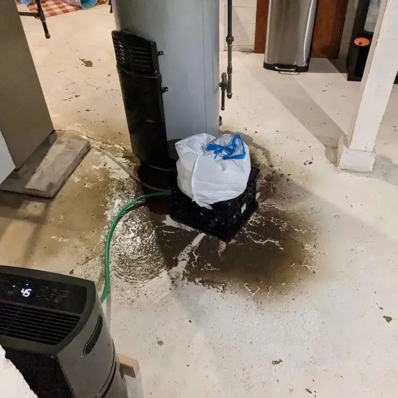 Sewage Backup Cleanup Service in Braxton County, WV
